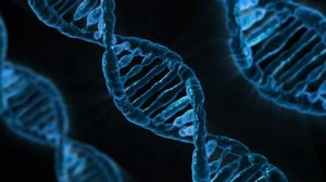 Edición genética: Aprendiendo a usar las tijeras moleculares