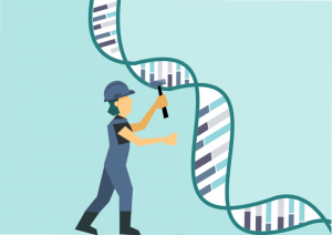 Prudencia para la aplicación clínica de los sistemas CRISPR en terapia génica in vivo