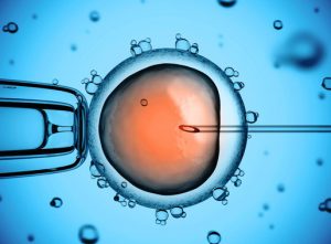 El polémico experimento de edición genética en embriones humanos