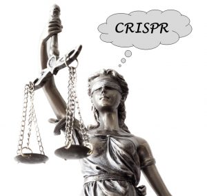 Sobre la obviedad en la disputa por las patentes CRISPR