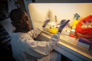 Experimentación animal y vacuna del virus Ébola