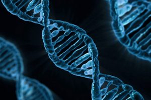 La comunicación de la edición genética. CRISPR, entre el optimismo y las falsas expectativas
