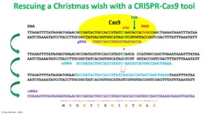 Feliz Navidad en el año de las CRISPR