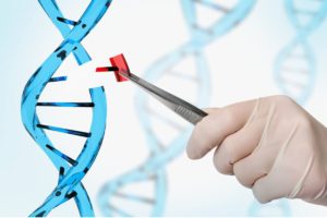 La interminable batalla por la patente de CRISPR