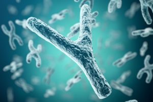Los últimos retazos del genoma humano vienen de la mano del cromosoma Y