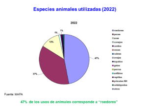 ¿Cuántos animales se usaron en investigación durante 2022 en España?